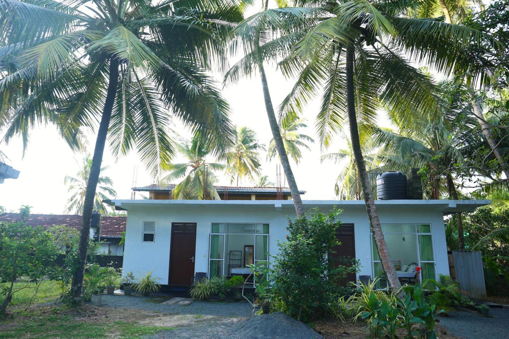 Sandy Palms Guesthouse ฮิกคาดูวา ภายนอก รูปภาพ