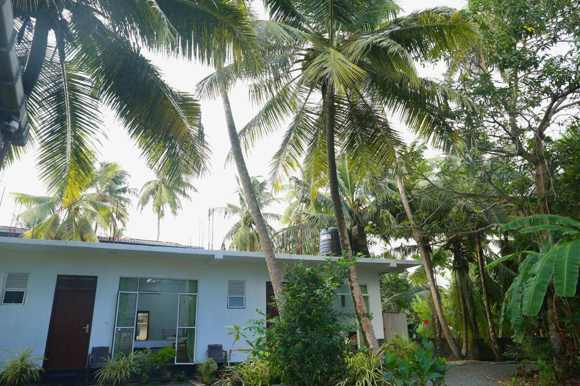 Sandy Palms Guesthouse ฮิกคาดูวา ภายนอก รูปภาพ