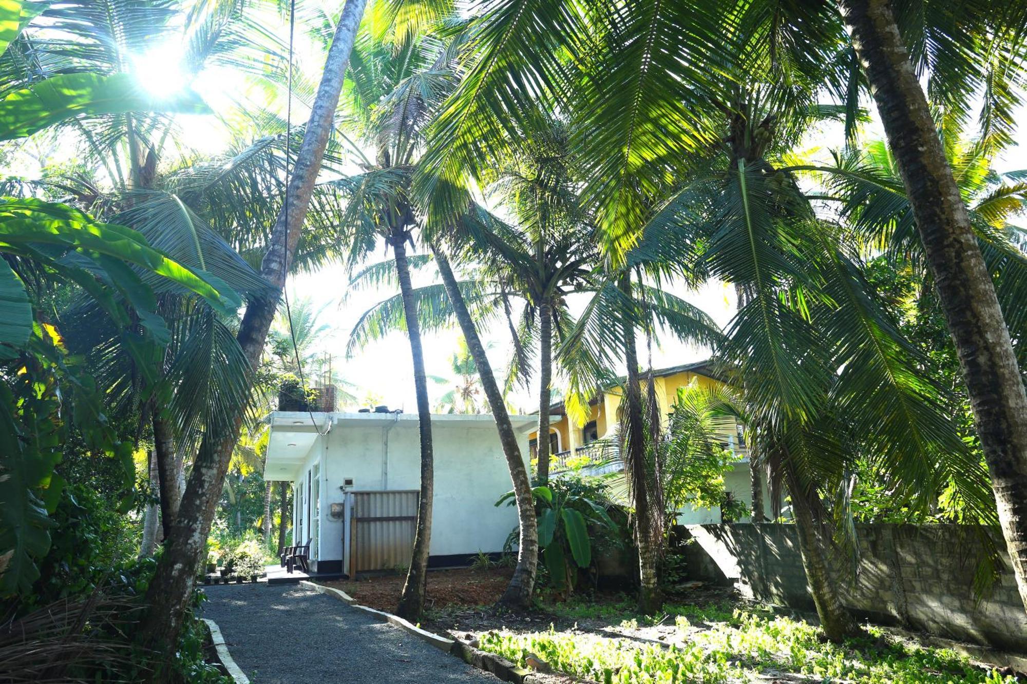 Sandy Palms Guesthouse ฮิกคาดูวา ภายนอก รูปภาพ